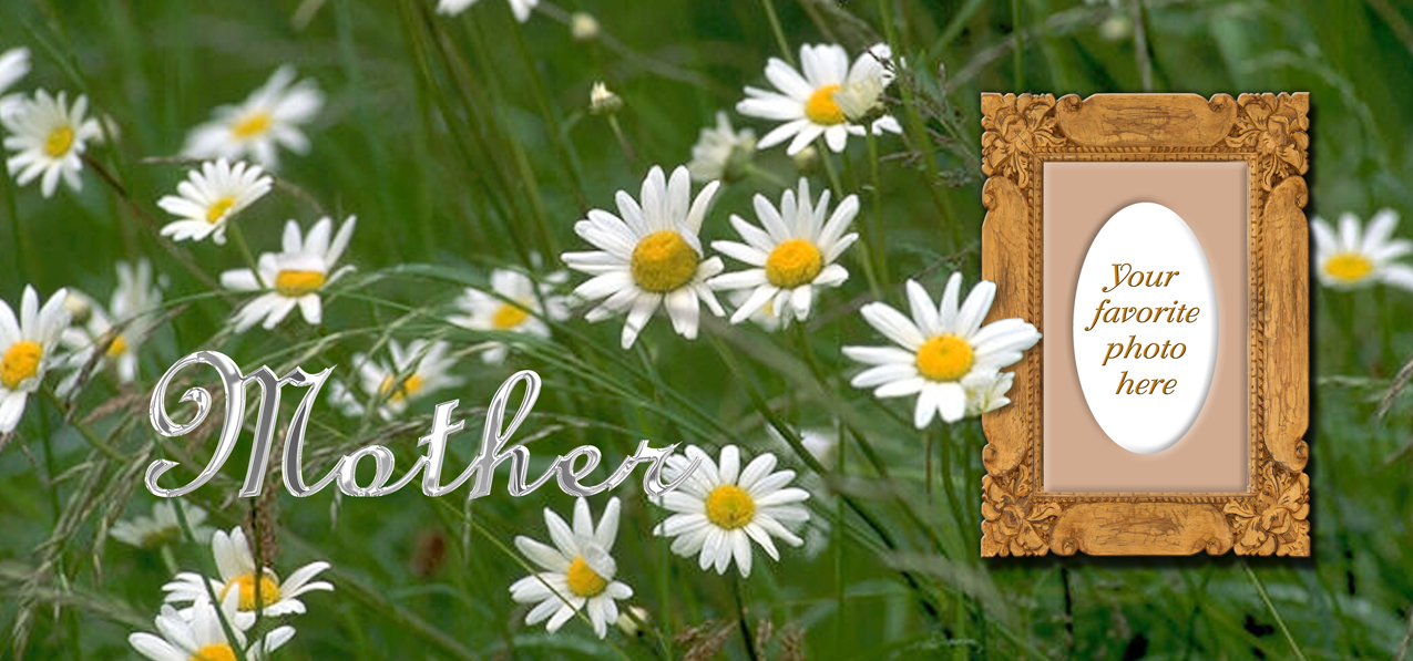 Field of Daisies Mother Silver